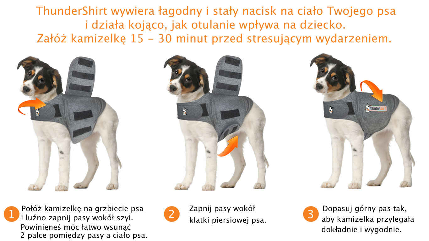 Jak zakładać kamizelkę uciskową ThunderShirt